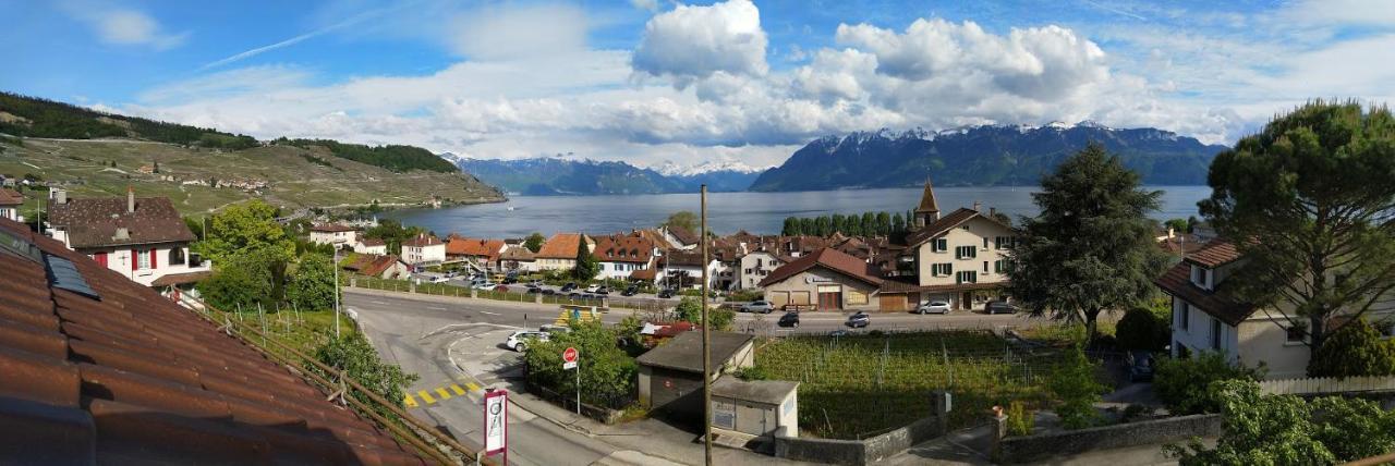Charmante Maison Au Coeur Du Lavaux, Cully, Cuisine, Wifi, Les Echalas Bagian luar foto