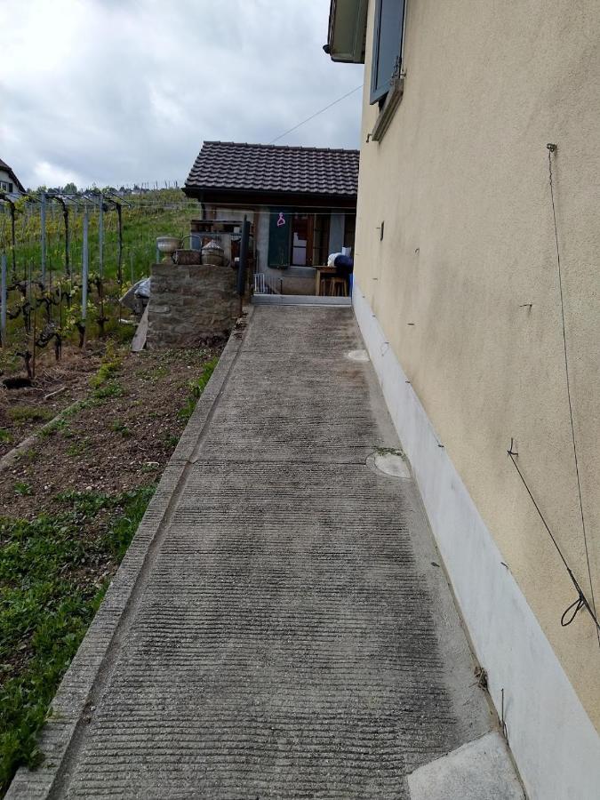 Charmante Maison Au Coeur Du Lavaux, Cully, Cuisine, Wifi, Les Echalas Bagian luar foto
