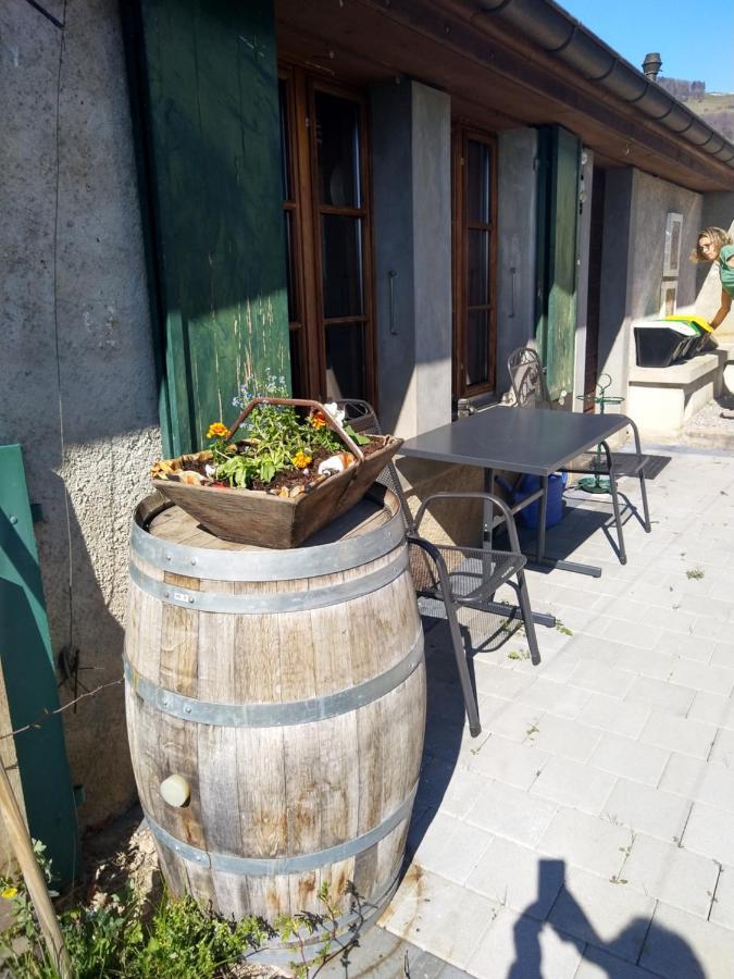 Charmante Maison Au Coeur Du Lavaux, Cully, Cuisine, Wifi, Les Echalas Bagian luar foto